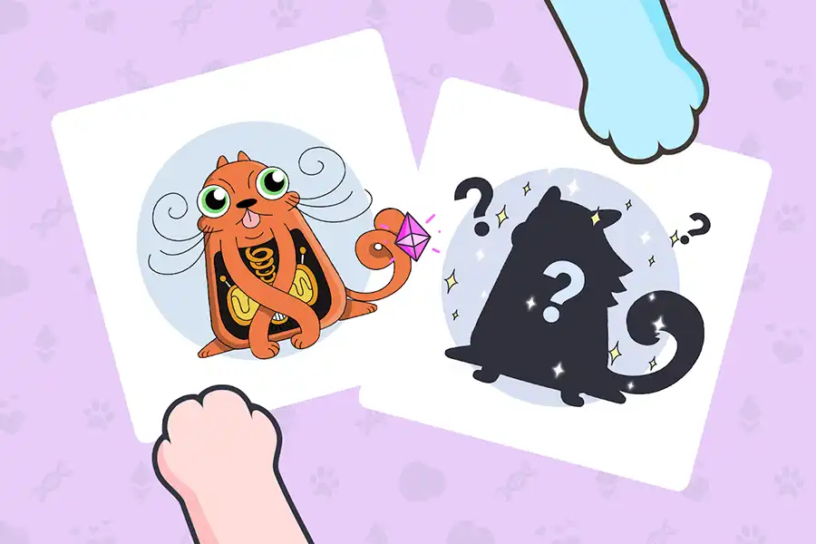 official picture of the game CryptoKitties.